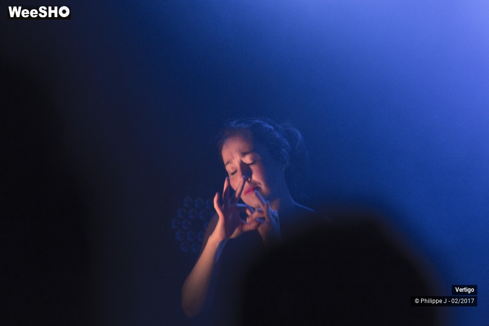 14/16 photos du spectacle Vertigo