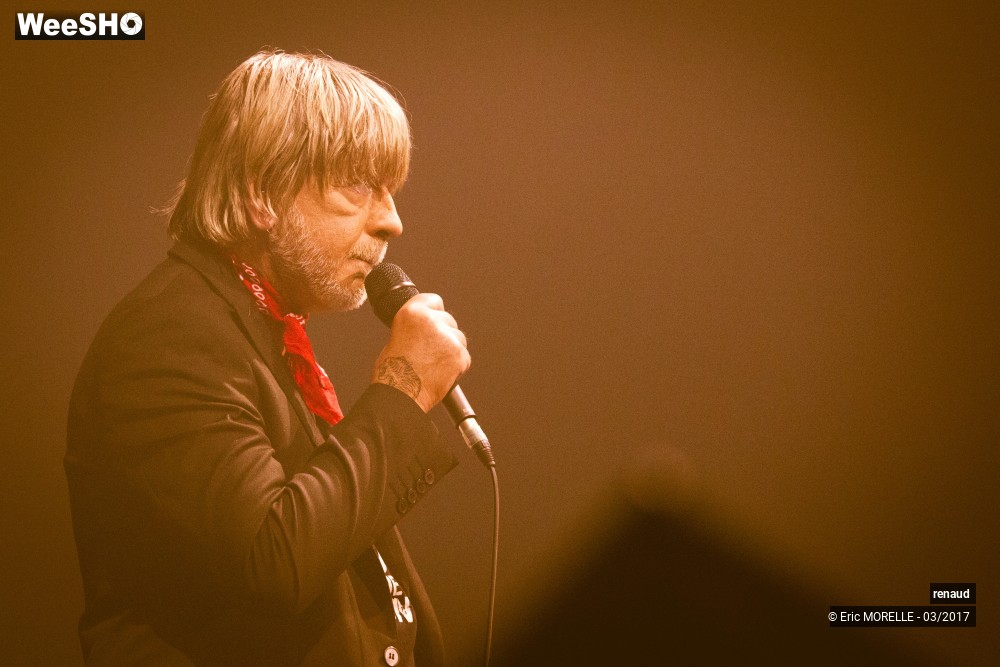 9/50 photos du spectacle Renaud