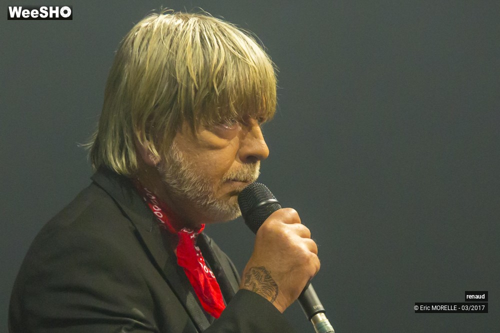 12/50 photos du spectacle Renaud