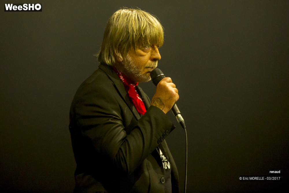 15/50 photos du spectacle Renaud