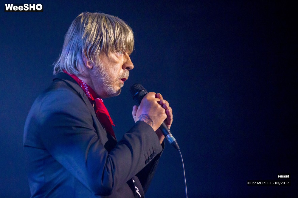 24/50 photos du spectacle Renaud