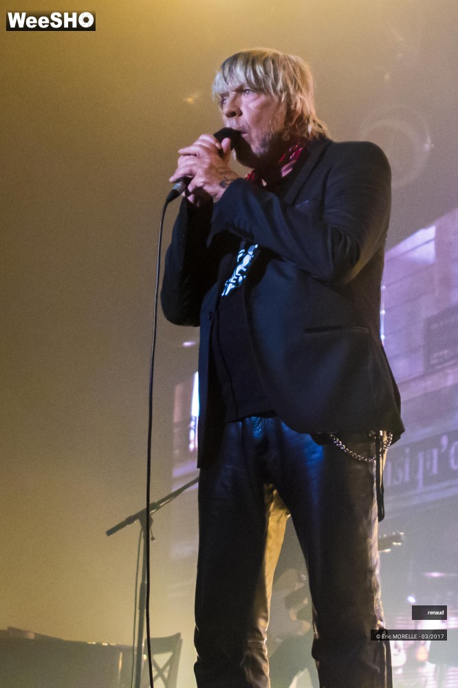41/50 photos du spectacle Renaud