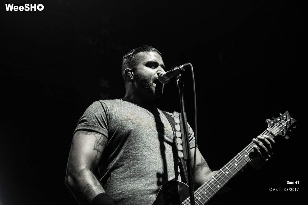 20/23 photos du spectacle SUM 41