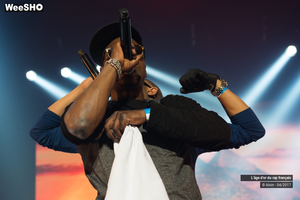 32/39 photos du spectacle L'âge d'or du rap français