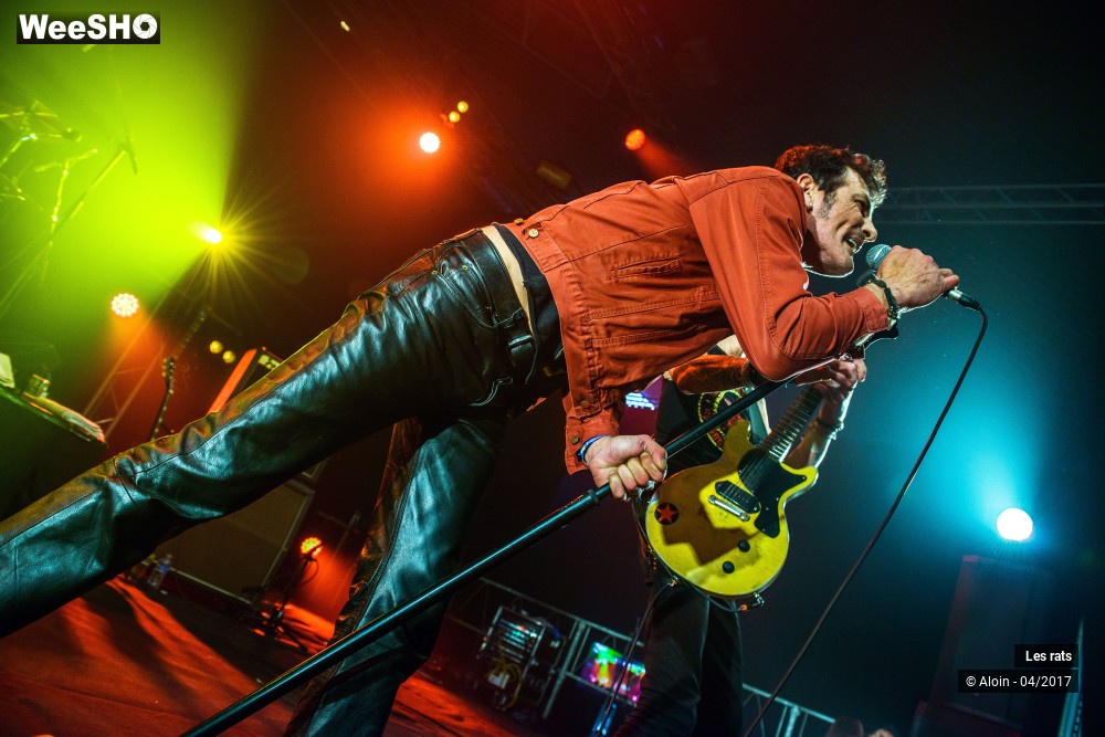 1/13 photos du spectacle Les rats