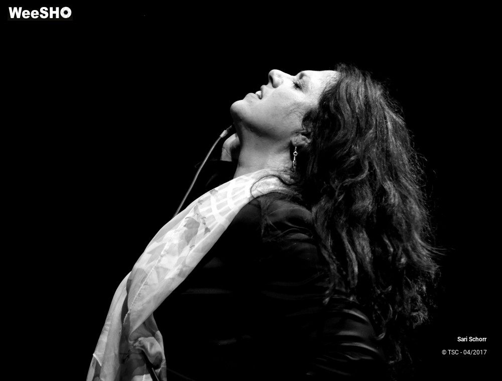 17/48 photos du spectacle Sari Schorr