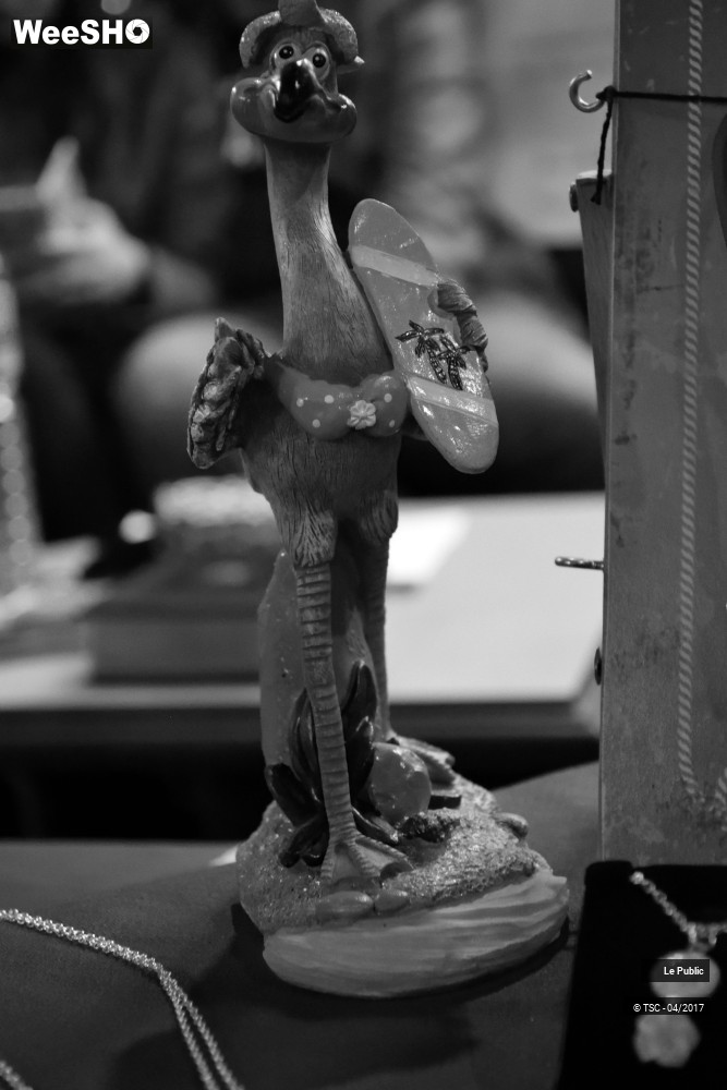 18/34 photos du spectacle Tandem Vintage Rendez-Vous