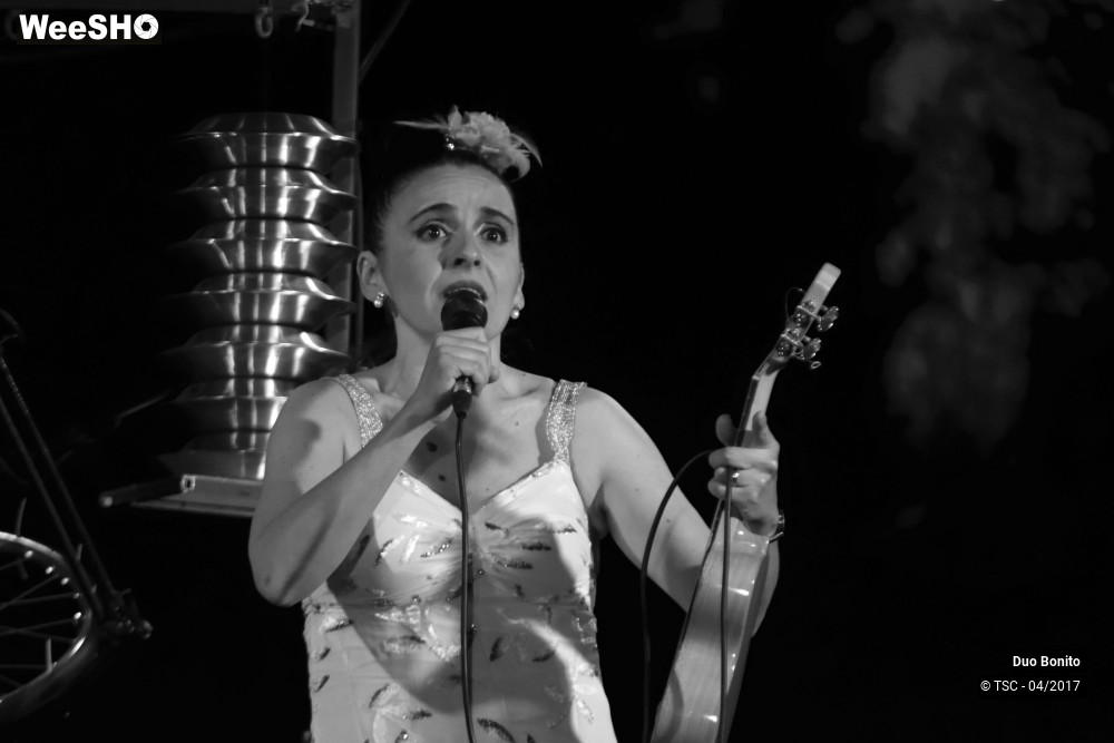 6/26 photos du spectacle Chansons à risques