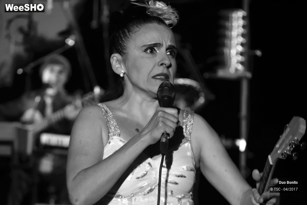 19/26 photos du spectacle Chansons à risques