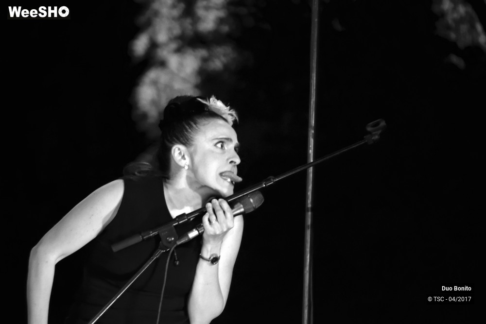 26/26 photos du spectacle Chansons à risques