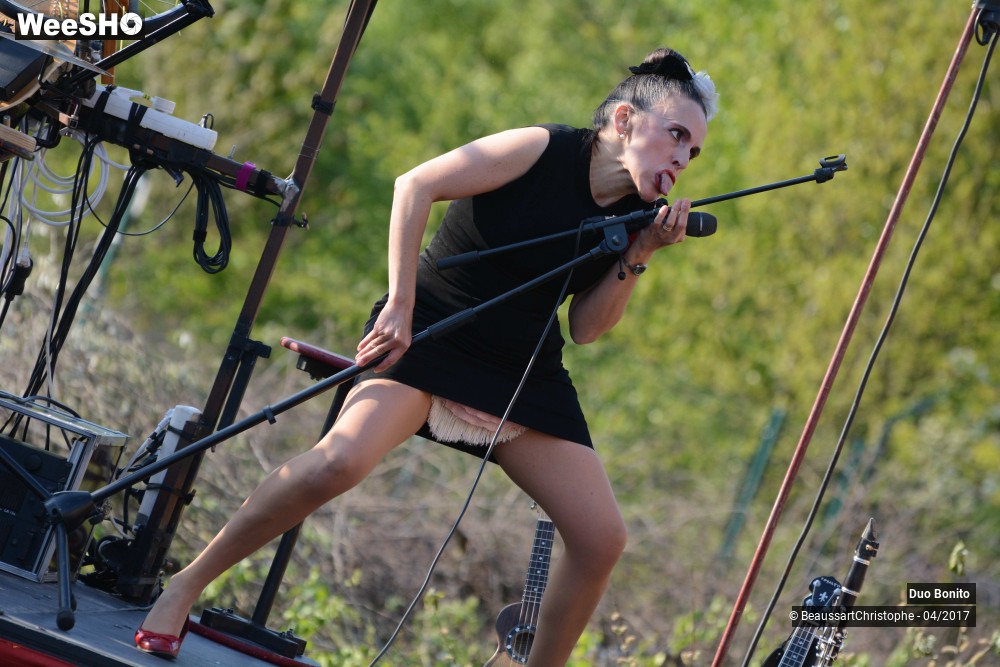 4/45 photos du spectacle Chansons à Risques