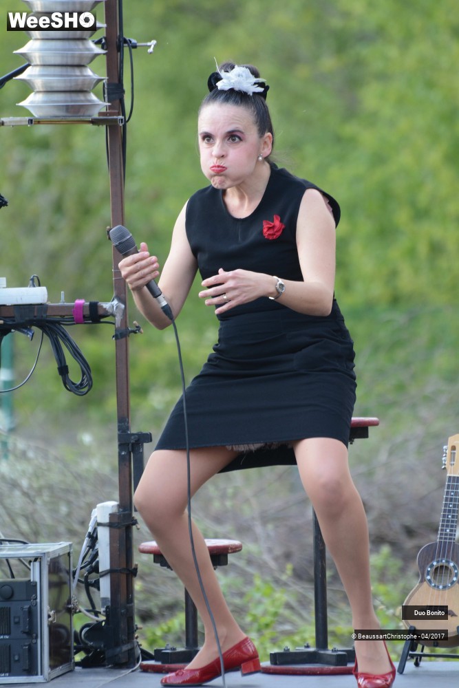 10/45 photos du spectacle Chansons à Risques