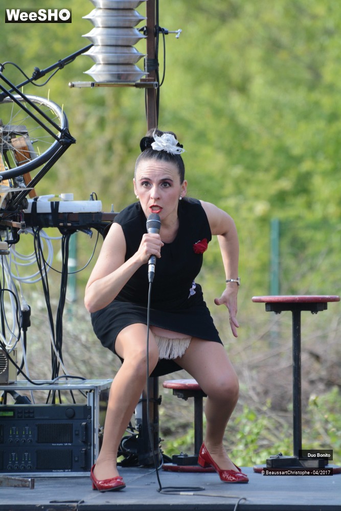 11/45 photos du spectacle Chansons à Risques