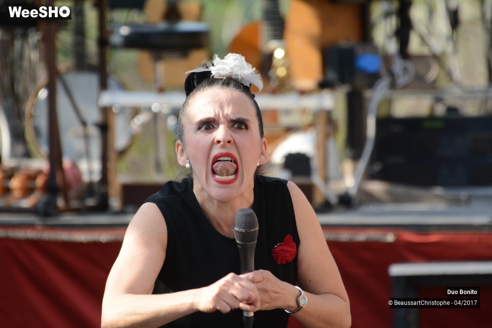 12/45 photos du spectacle Chansons à Risques