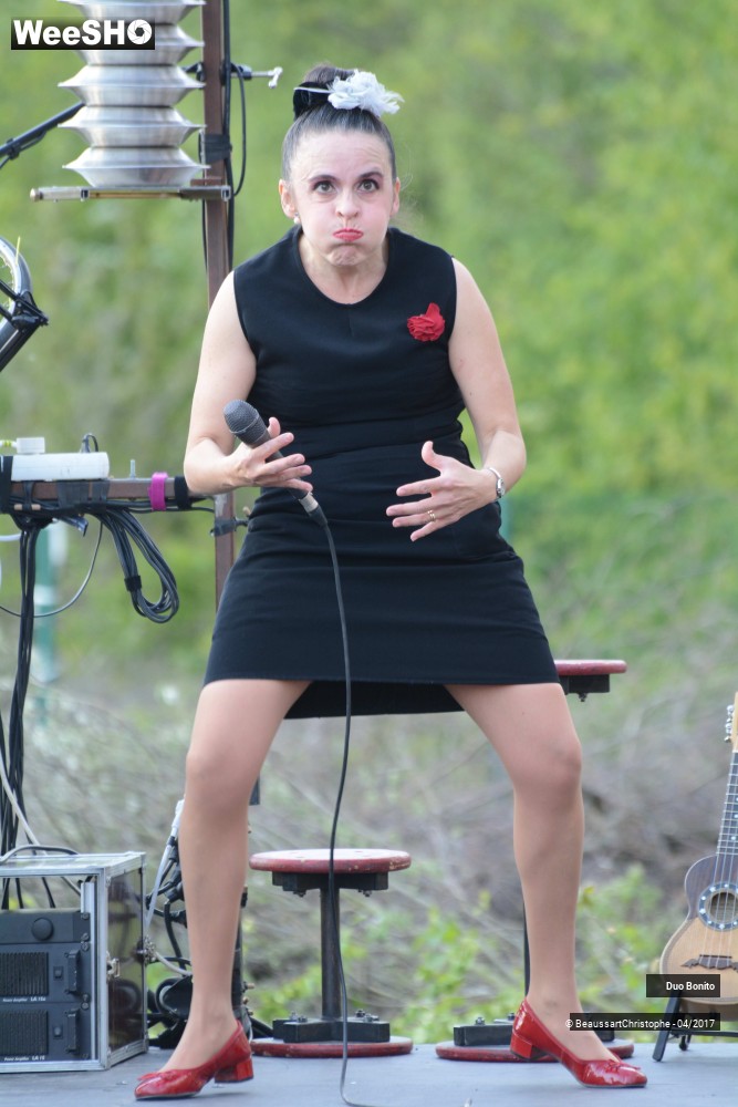 16/45 photos du spectacle Chansons à Risques