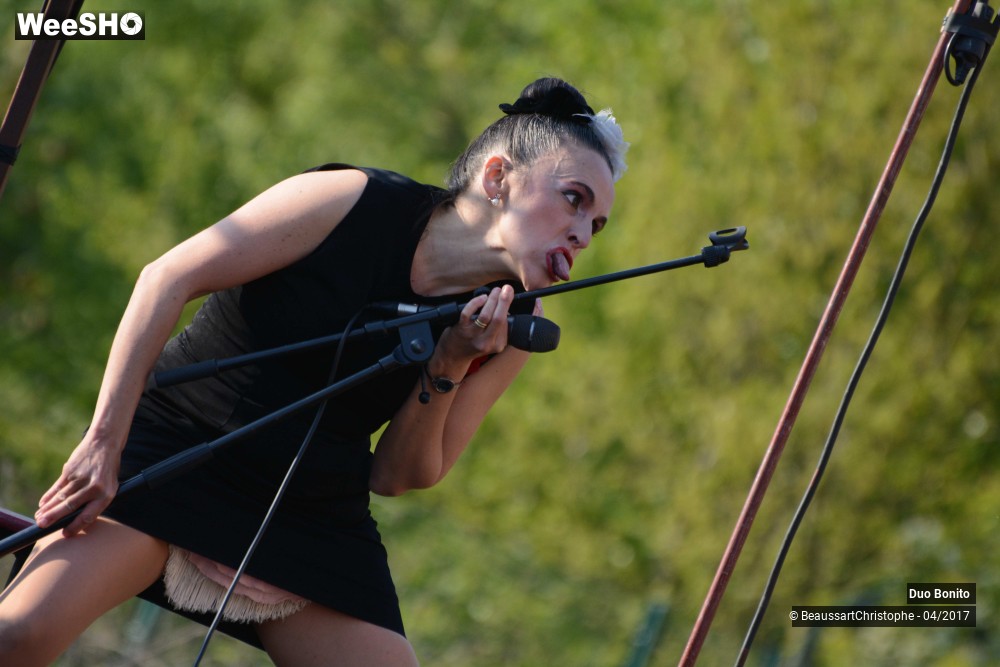 38/45 photos du spectacle Chansons à Risques