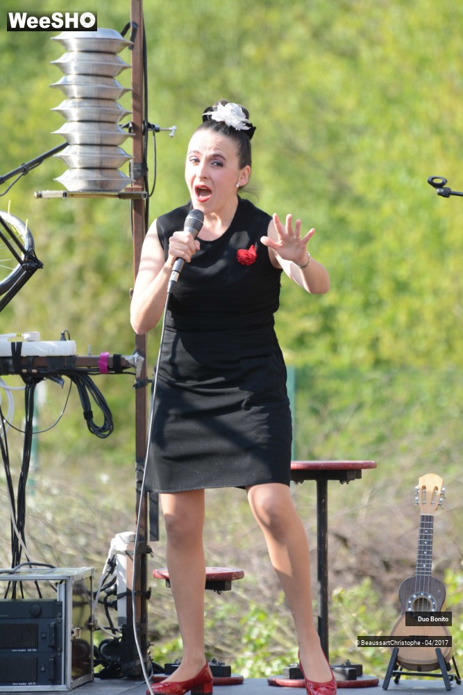 39/45 photos du spectacle Chansons à Risques