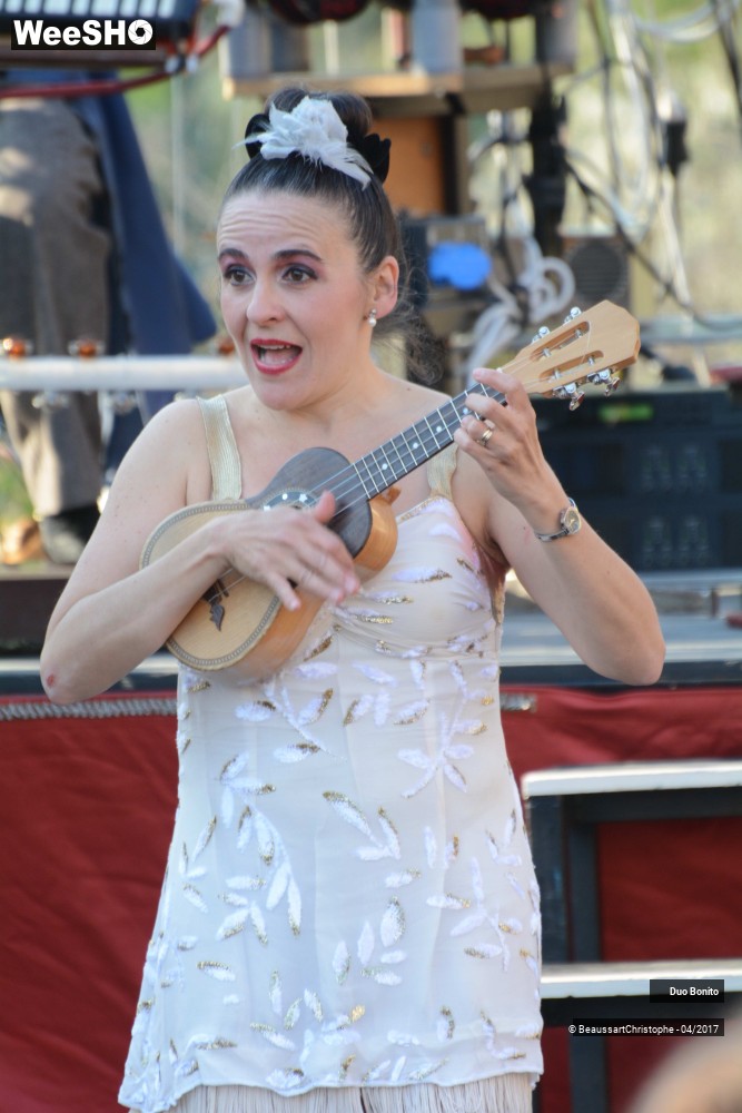 41/45 photos du spectacle Chansons à Risques