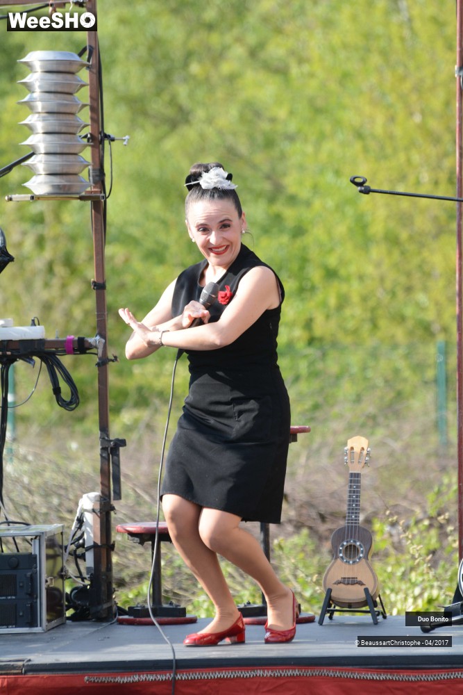 43/45 photos du spectacle Chansons à Risques