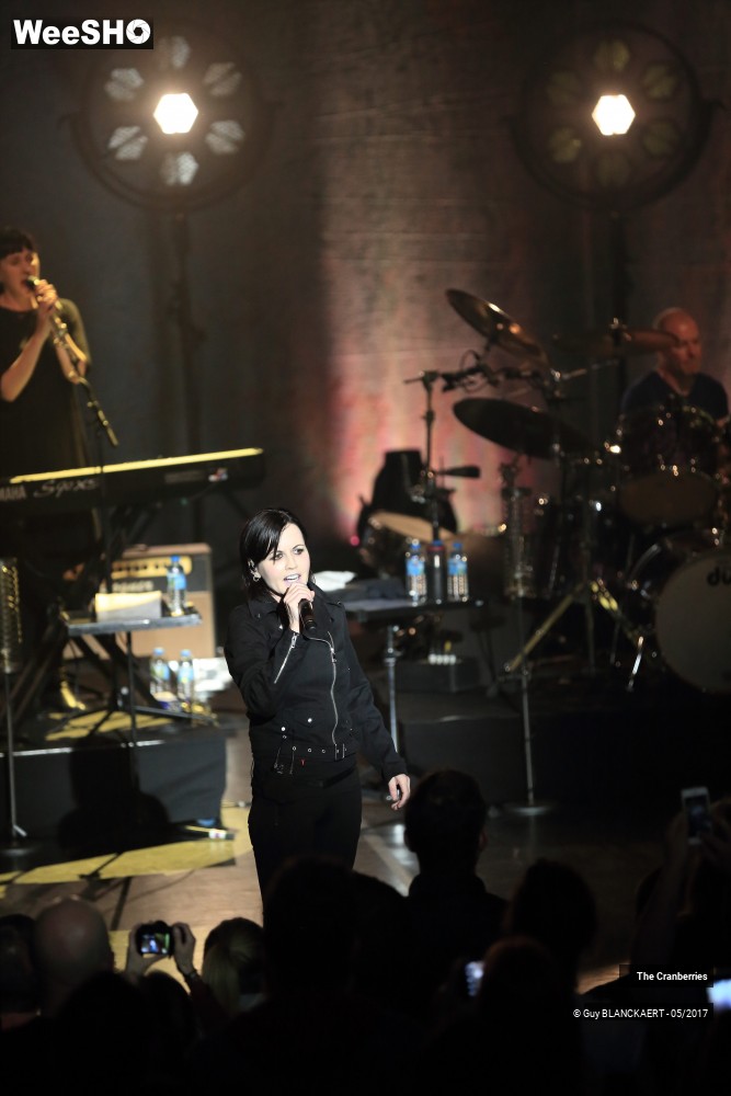 1/10 photos du spectacle The Cranberries