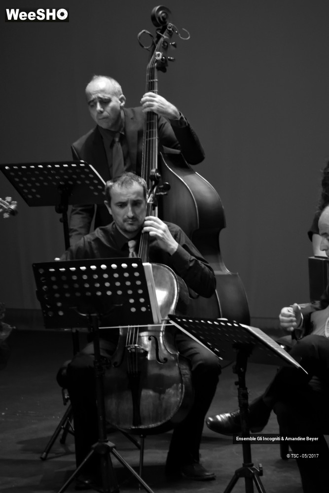 3/22 photos du spectacle Les 4 saisons et autres concertos d'Antonio Vivaldi