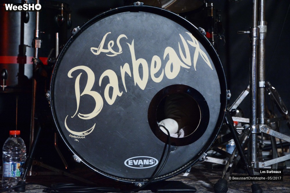 11/32 photos du spectacle Les Barbeaux