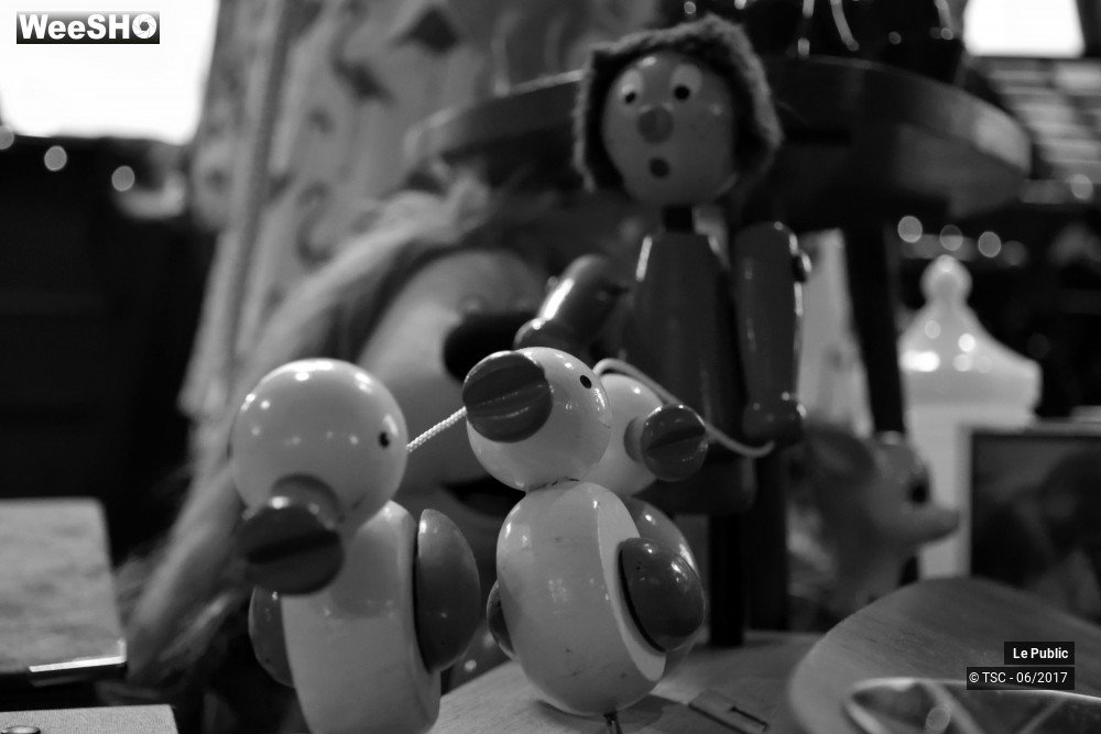 26/49 photos du spectacle Le RDV vintage du Tandem - Spécial Pin-up 2017 !