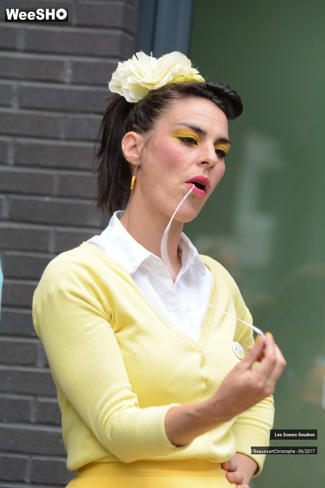 1/51 photos du spectacle Les Soeurs Goudron