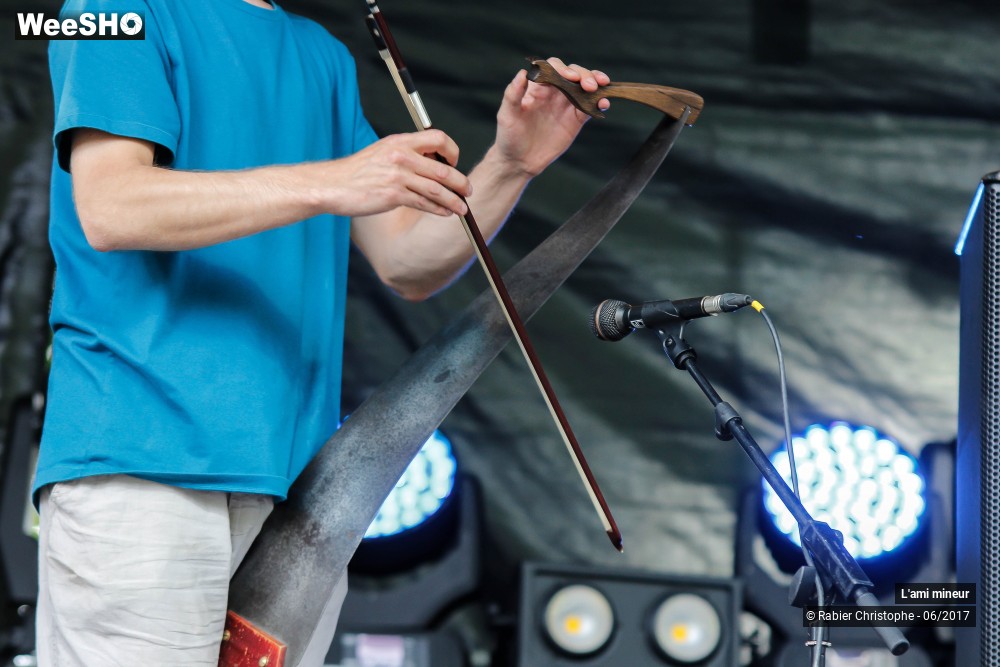 24/42 photos du spectacle L'ami mineur