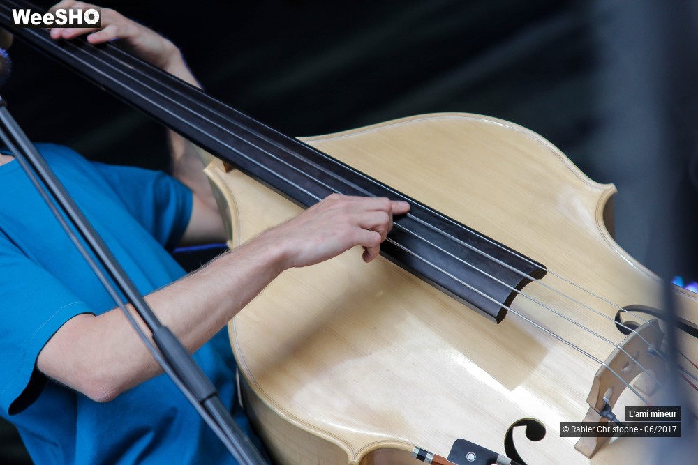 42/42 photos du spectacle L'ami mineur