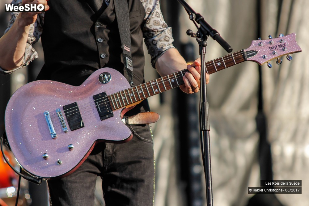 48/51 photos du spectacle Les Rois de la Suede