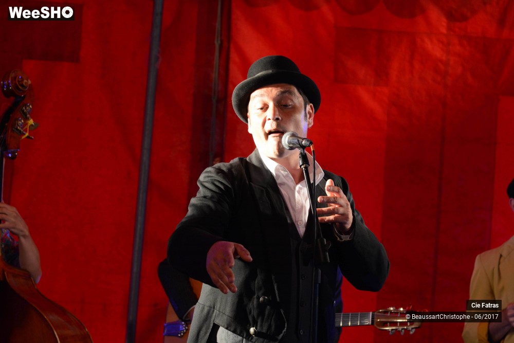 24/31 photos du spectacle Gaston