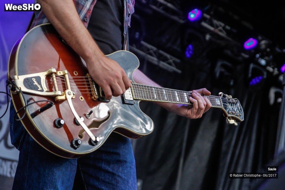 31/48 photos du spectacle Saule