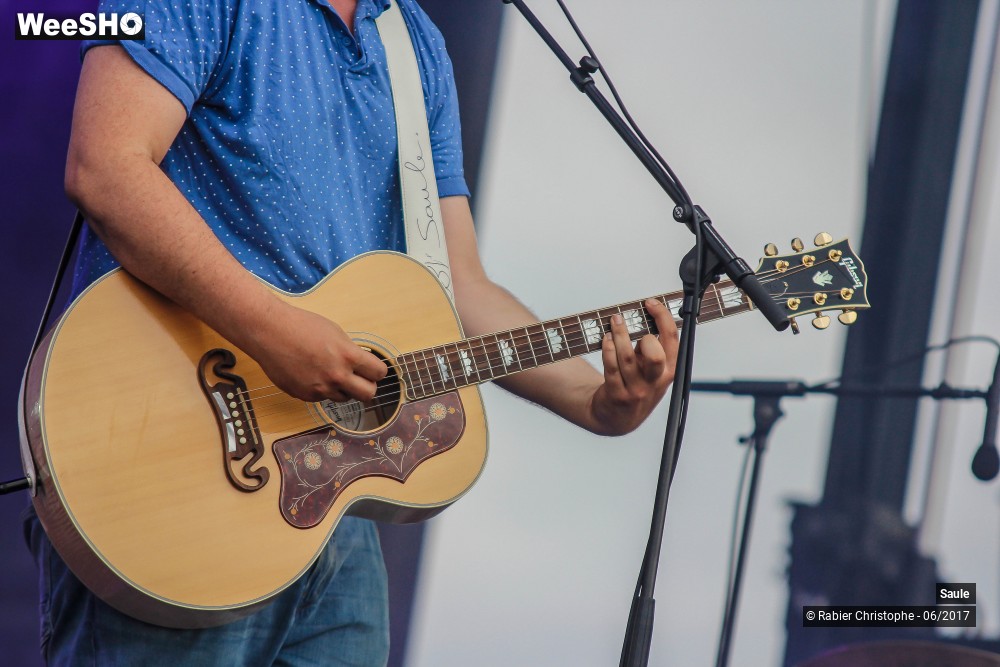 38/48 photos du spectacle Saule