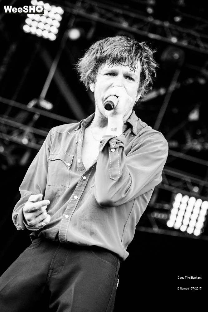 11/31 photos du spectacle Cage The Elephant