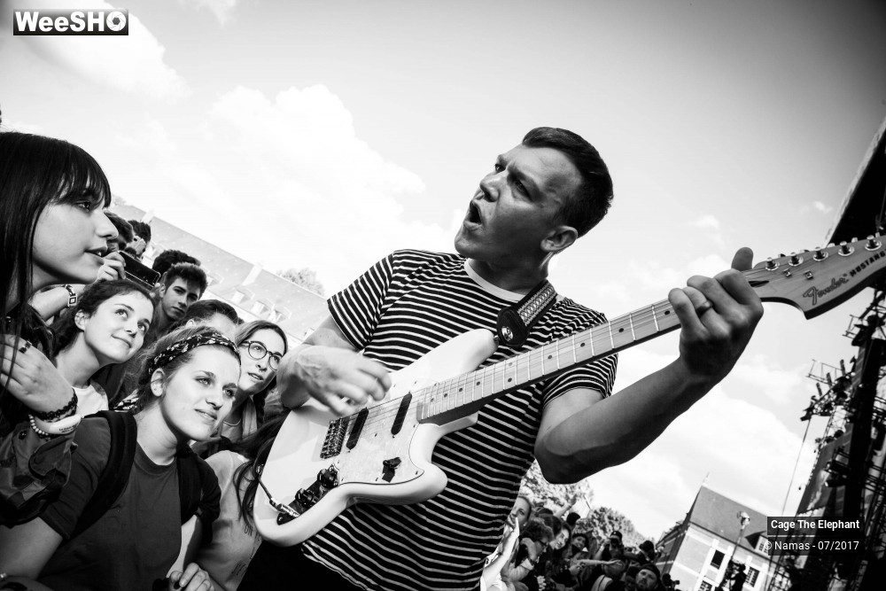 14/31 photos du spectacle Cage The Elephant