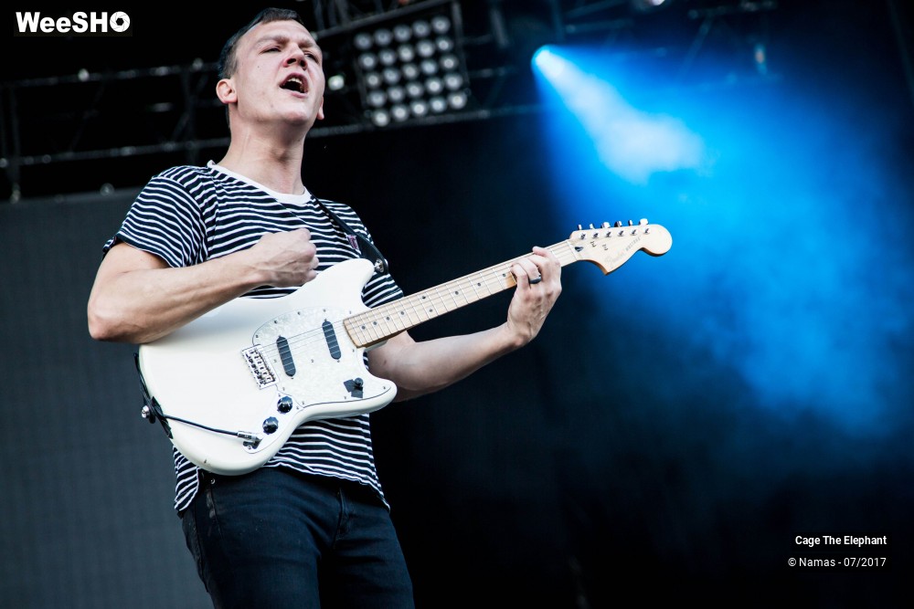 15/31 photos du spectacle Cage The Elephant