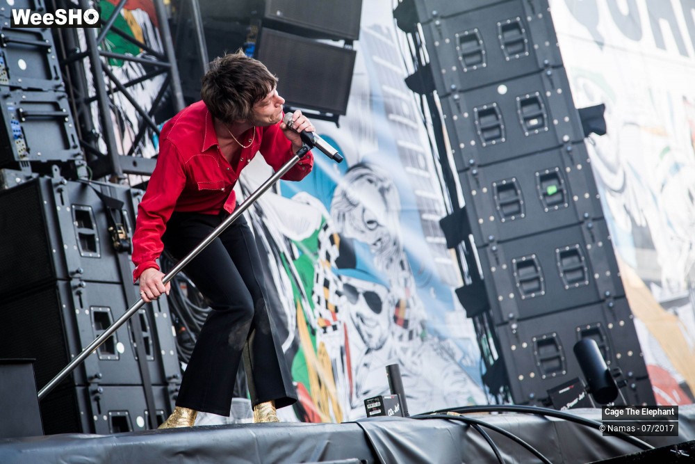 17/31 photos du spectacle Cage The Elephant