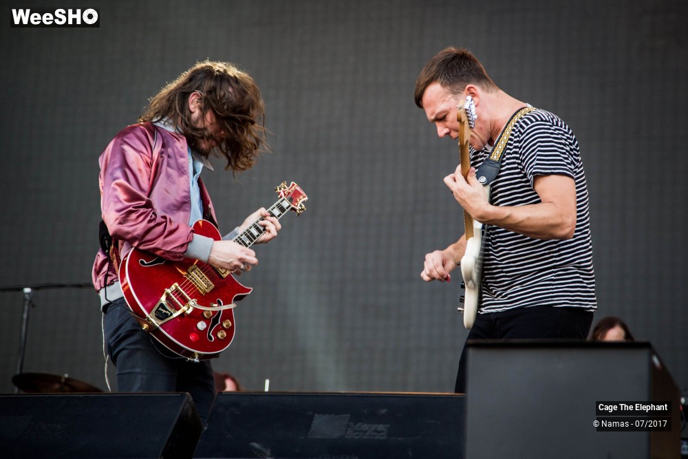 18/31 photos du spectacle Cage The Elephant