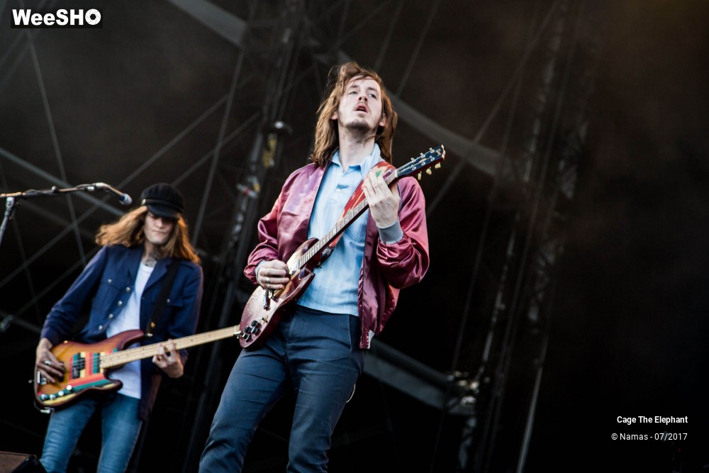 20/31 photos du spectacle Cage The Elephant