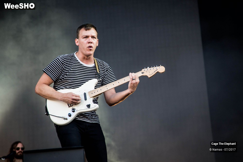 21/31 photos du spectacle Cage The Elephant