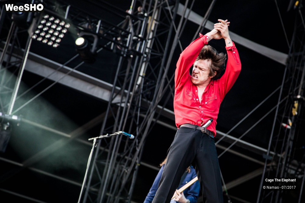 26/31 photos du spectacle Cage The Elephant