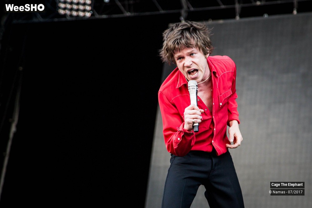 28/31 photos du spectacle Cage The Elephant