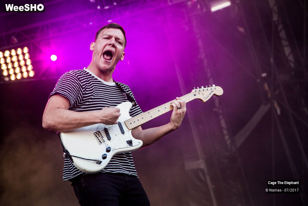 30/31 photos du spectacle Cage The Elephant