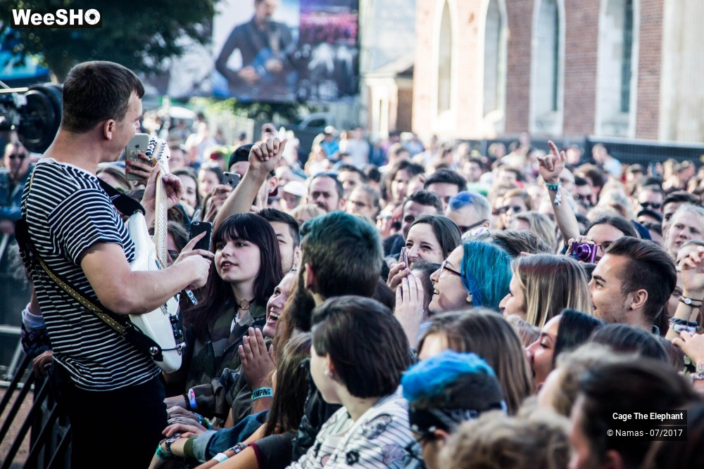 31/31 photos du spectacle Cage The Elephant