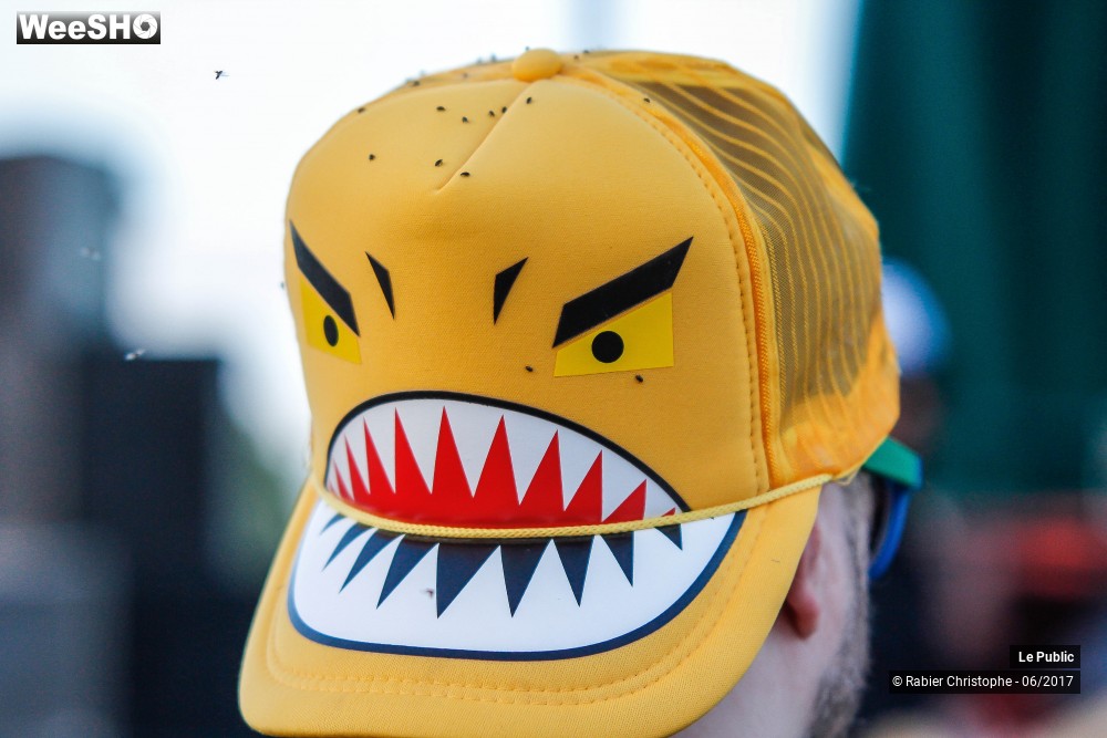 31/43 photos du spectacle Ambiance au Festival Les Agites du Melange 2017