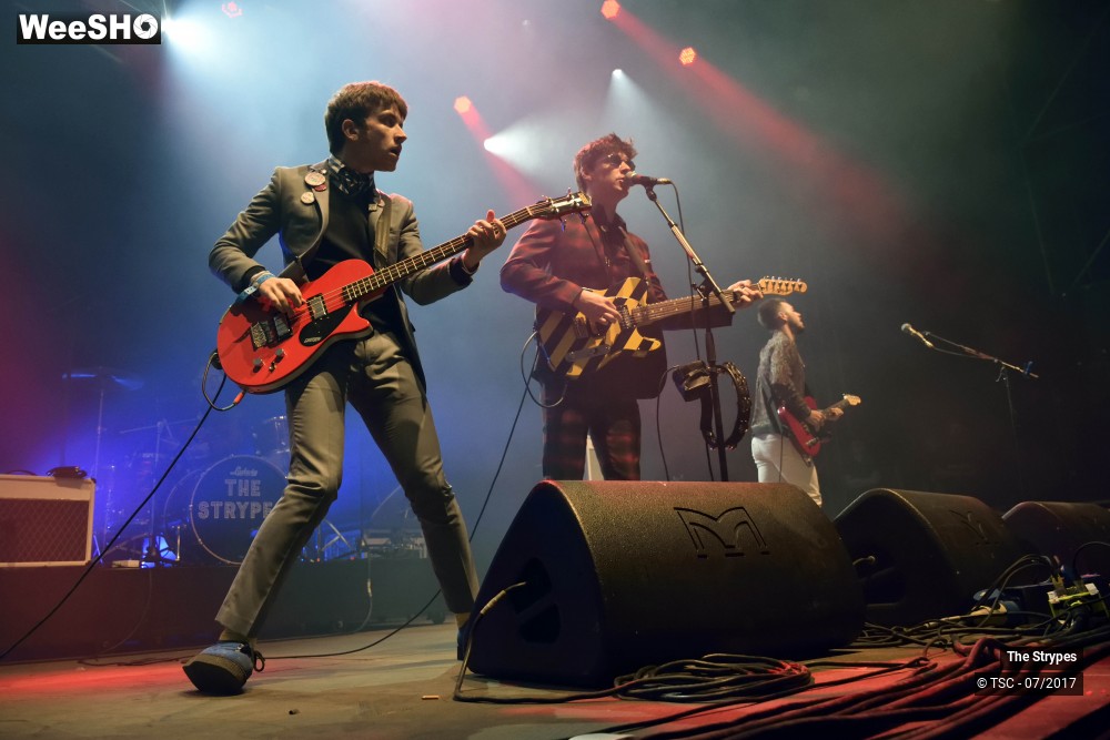 14/29 photos du spectacle The Strypes