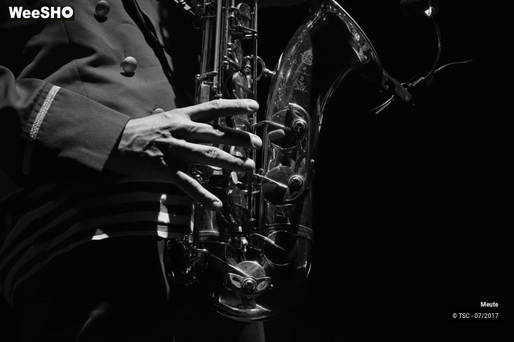 32/41 photos du spectacle Meute