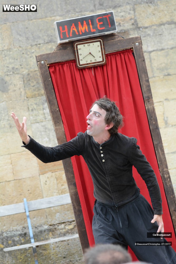 7/38 photos du spectacle Hamlet en 30 minutes