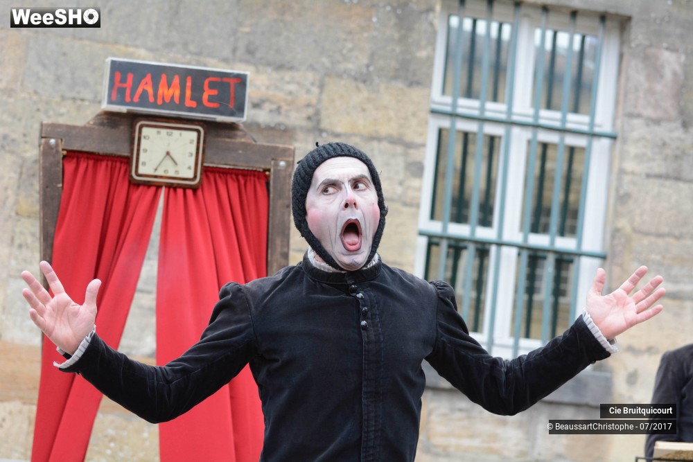24/38 photos du spectacle Hamlet en 30 minutes